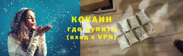 сатива Няндома