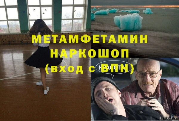 крисы Осинники