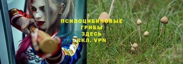 гидра Осташков