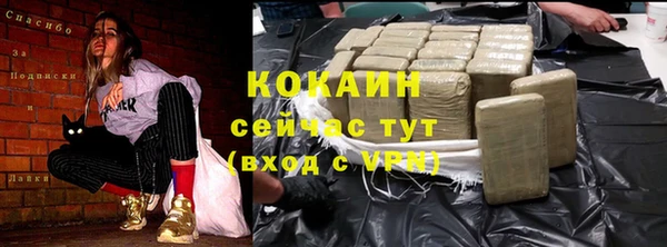 крисы Осинники