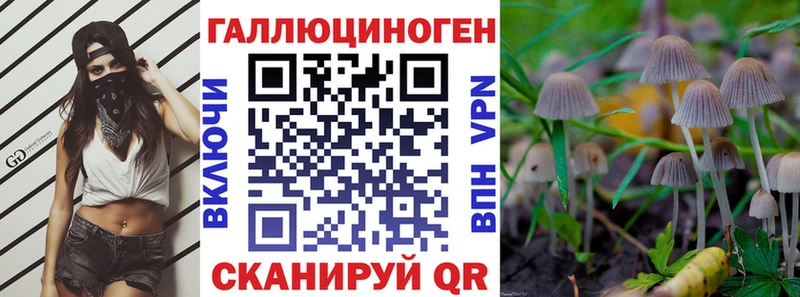 мега сайт  где купить наркоту  Ступино  Псилоцибиновые грибы Psilocybe 
