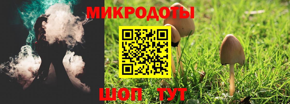 Галлюциногенные грибы прущие грибы  Ступино 